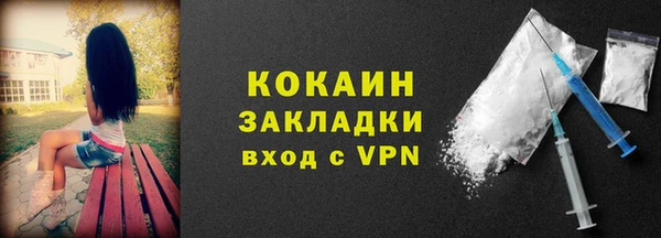 сатива Волоколамск