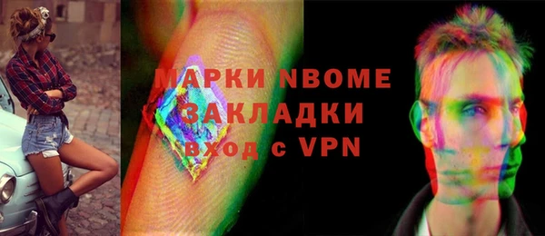 индика Вязьма