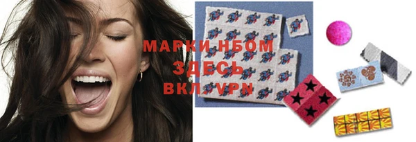 индика Вязьма