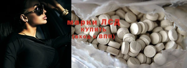 молекула духа Вяземский
