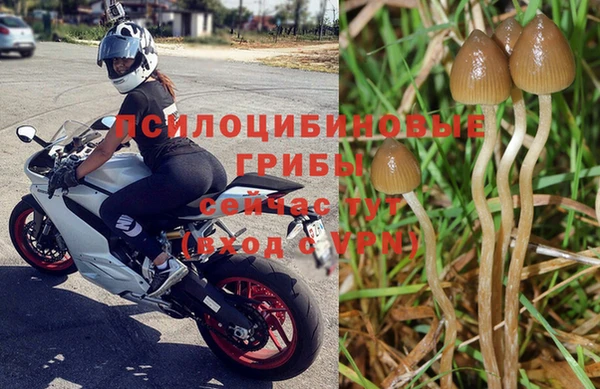 марки nbome Горнозаводск