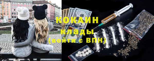 молекула духа Вяземский