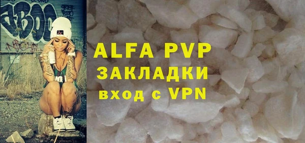 сатива Волоколамск