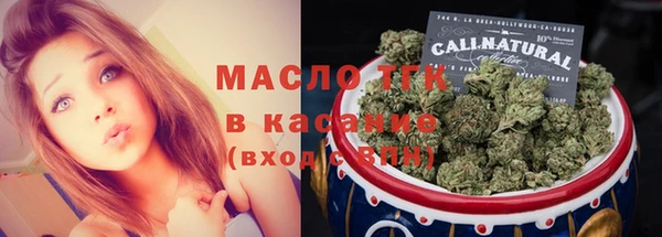 молекула духа Вяземский